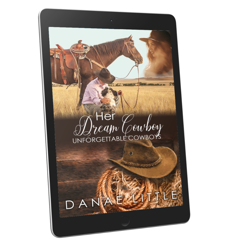 Her Dream Cowboy  ebook by Danae Little Christian Western Romance