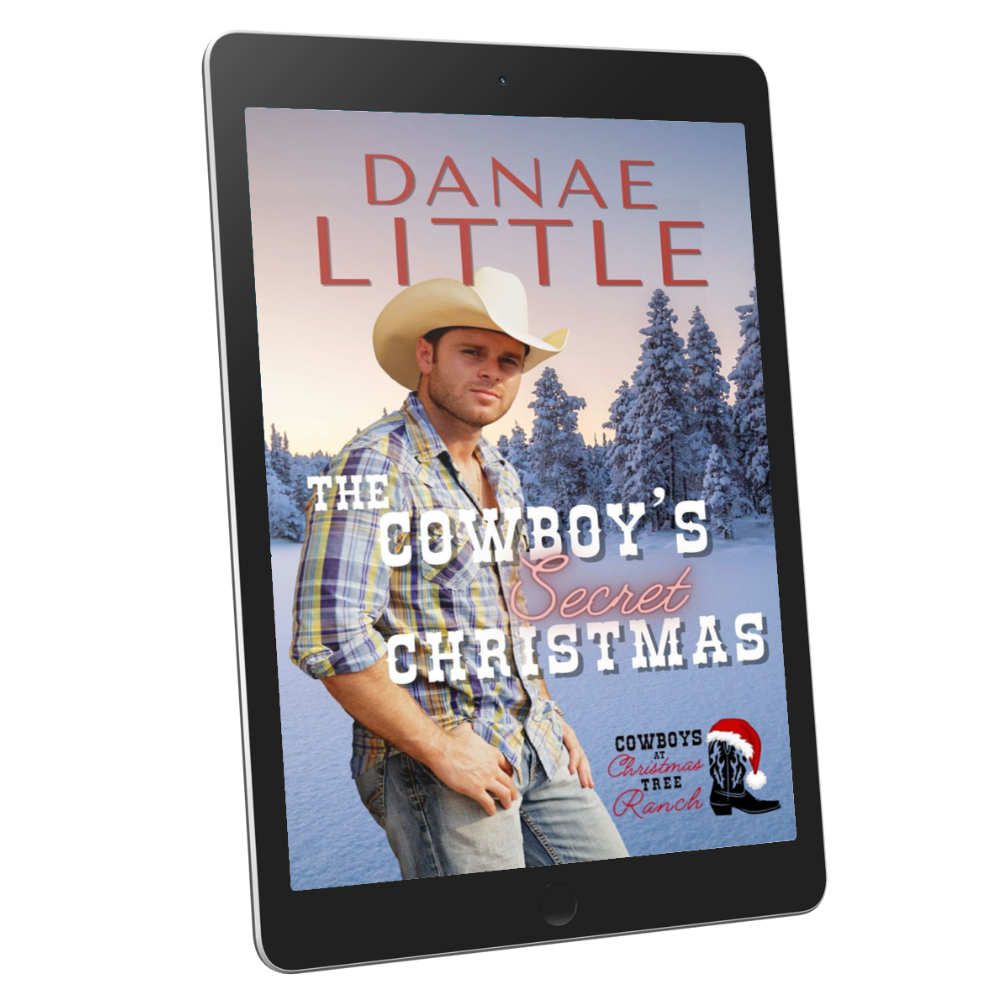 The Cowboy's Secret Christmas ebook by Danae Little Christian Western Romance