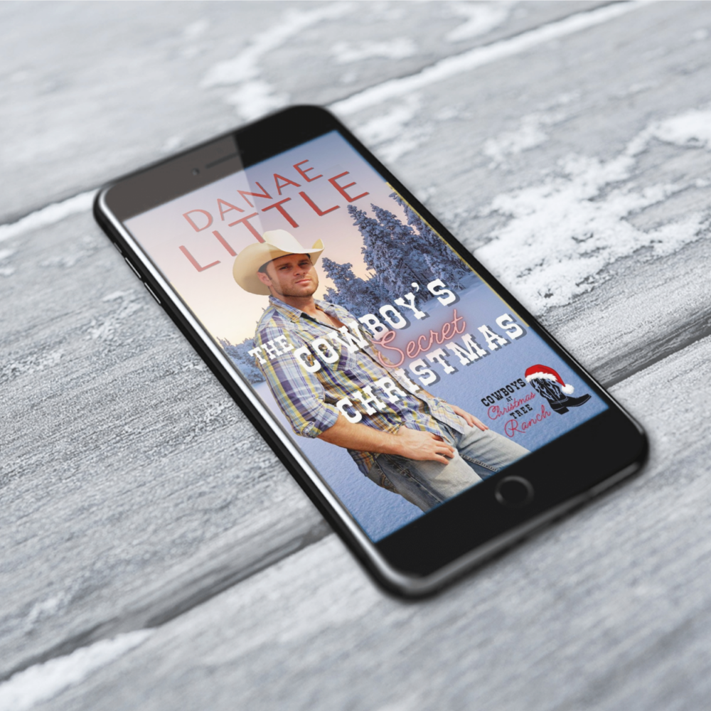 The Cowboy's Secret Christmas ebook by Danae Little Christian Western Romance