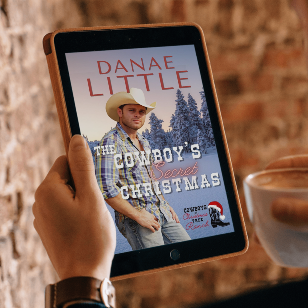 The Cowboy's Secret Christmas ebook by Danae Little Christian Western Romance